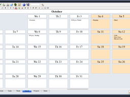 fields arranged for a monthly plan
